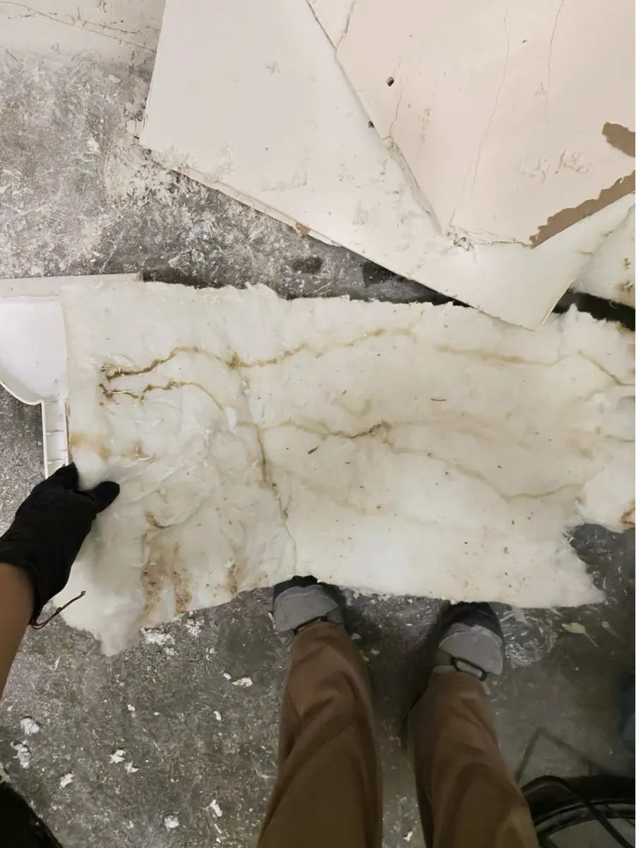 Wet wall insulation pulled out during water damage tear-out in Cadence