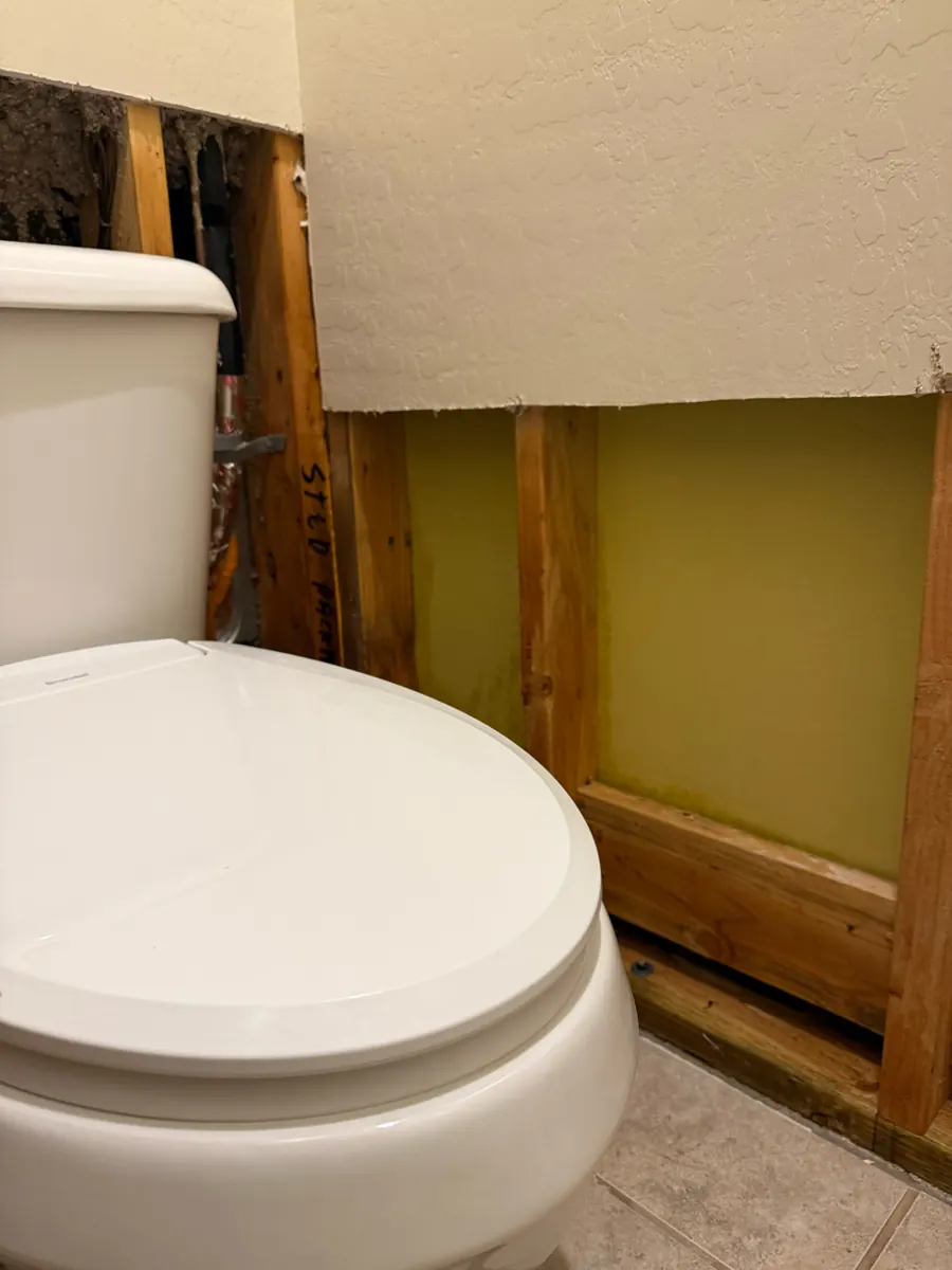 Lower bathroom drywall removed beside a toilet, showing studs and bottom plate, Enterprise
