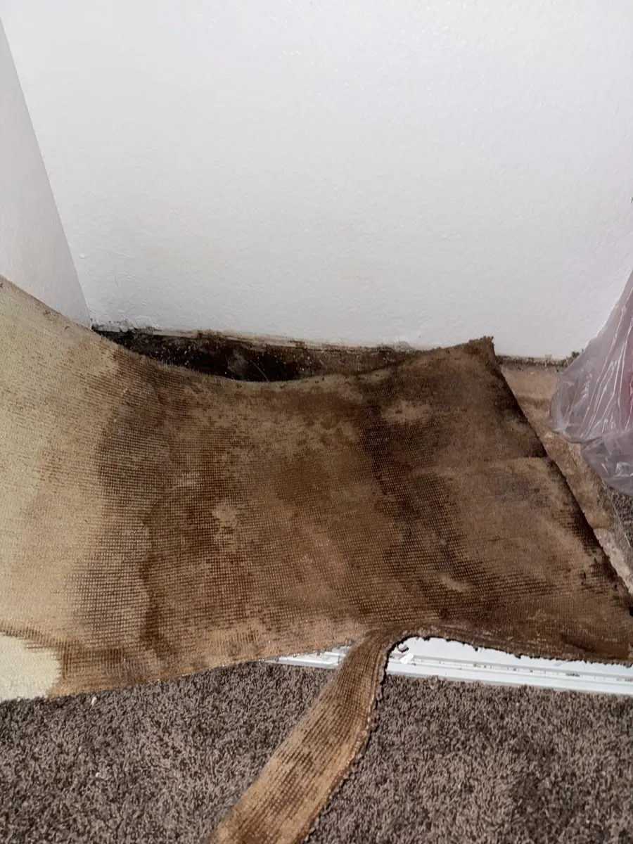 Stained carpet pad pulled back at a wall in a Green Valley South manufactured home