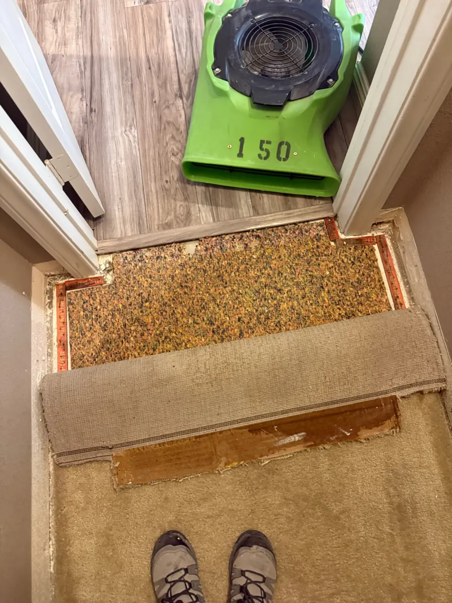 Carpet and pad pulled back at a doorway with an air mover in an Inspirada home