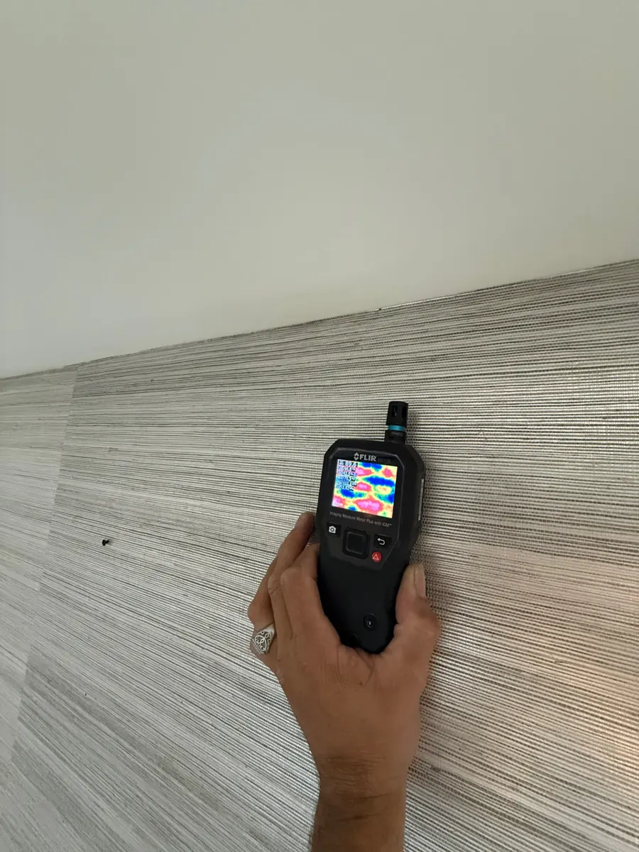 Thermal moisture meter on a wallpapered wall in a Lake Las Vegas home