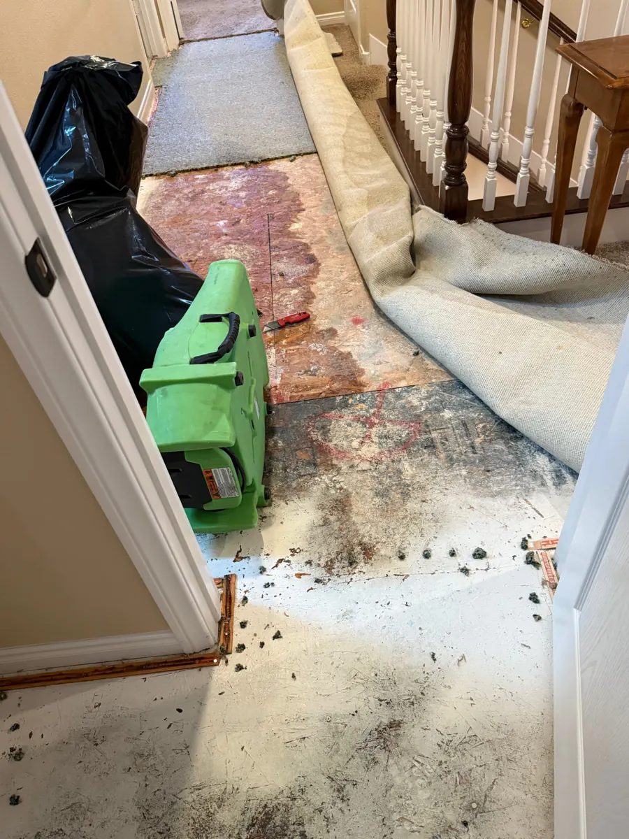 Wet carpet and pad pulled back from a stained subfloor in an upstairs hallway in Lone Mountain