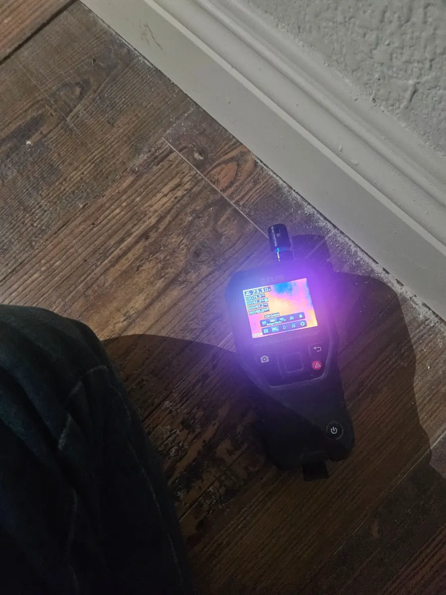 Imaging moisture meter on wood-look flooring by a baseboard in east Paradise
