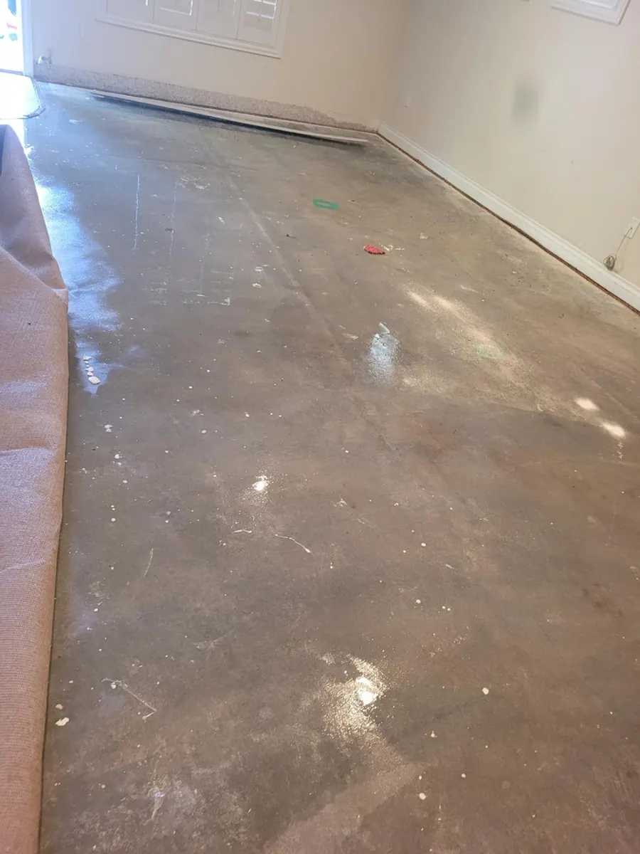 Carpet rolled back to expose a damp concrete slab in a Spring Valley home