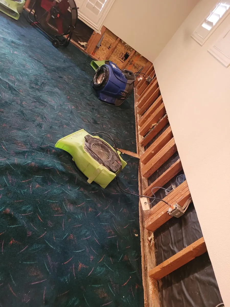 Air movers on carpet beside a wall opened to the studs in a Spring Valley family room