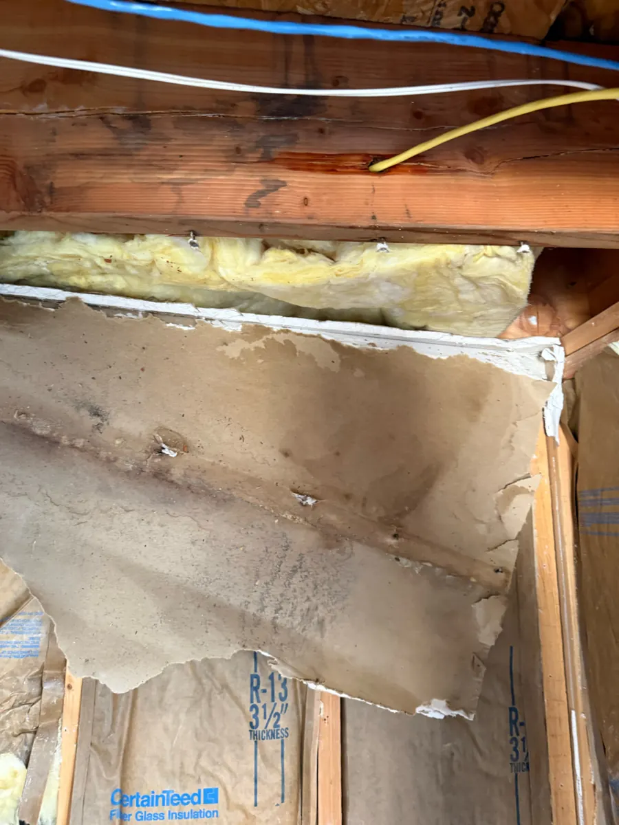 Stained ceiling drywall pulled down below a wood joist and insulation in a The Lakes home
