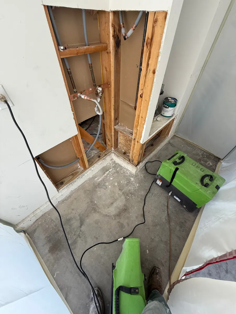 Lower walls opened to plumbing lines with a dehumidifier running in The Trails home
