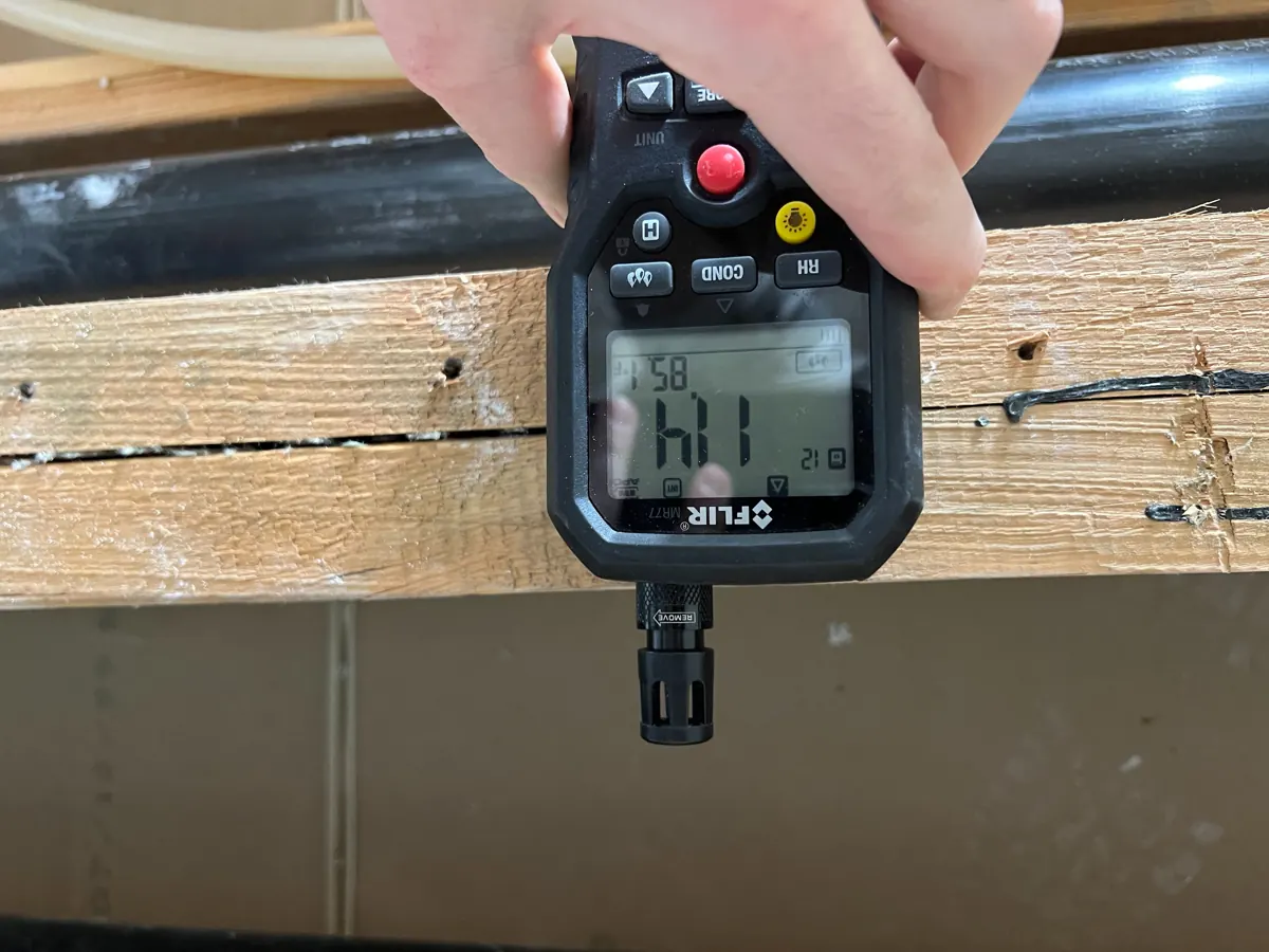 Moisture meter reading taken on exposed framing in a Whitney home