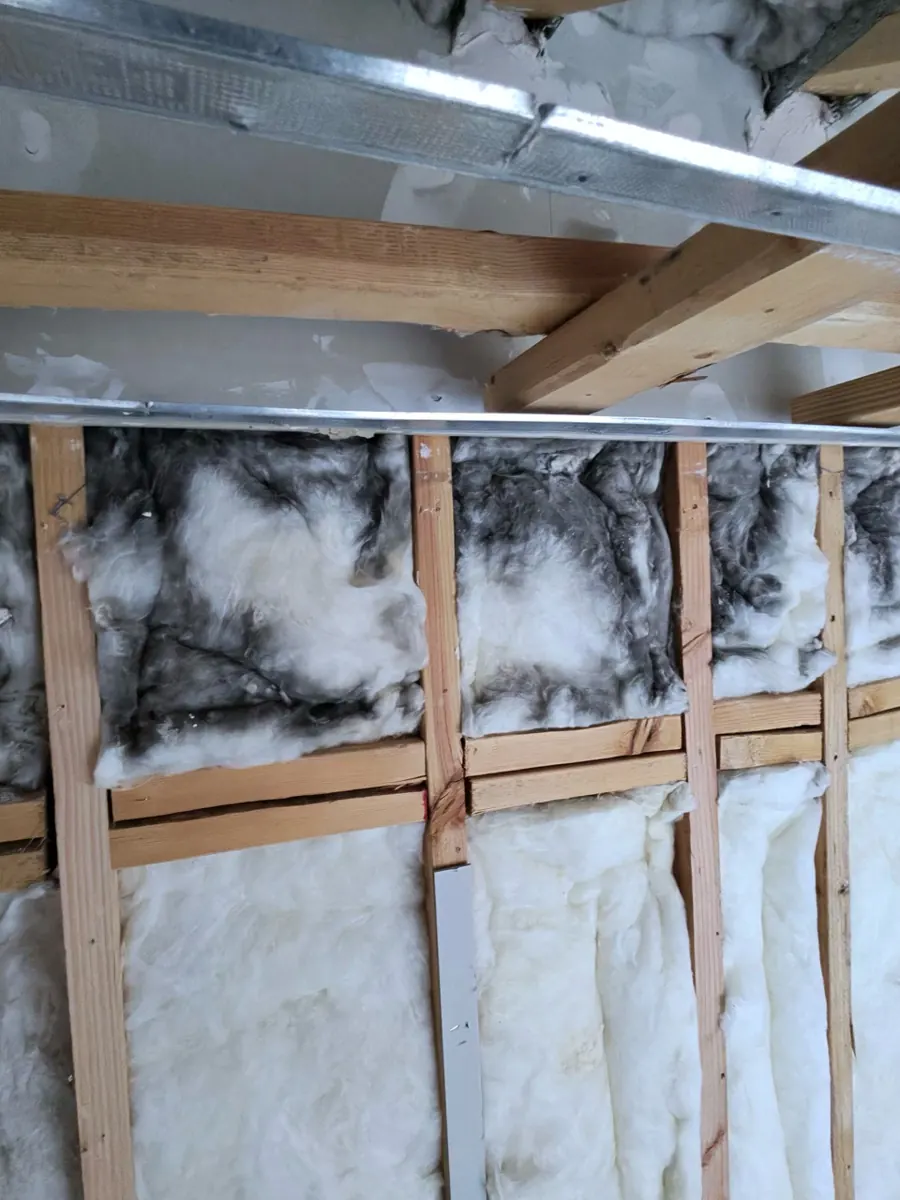 Dark staining on wall insulation between studs during remediation in Whitney