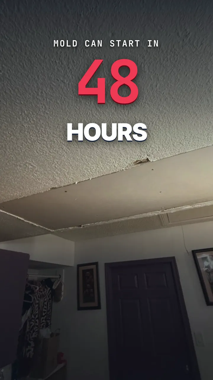Quality 1st Restoration dries water-damaged homes in Las Vegas before mold can start.