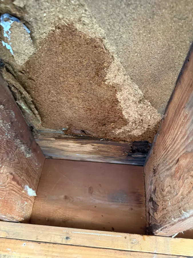 Water-stained wall sheathing inside an opened wall cavity above a window