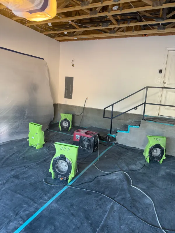 Flooring damaged by water before replacement in a Henderson home
