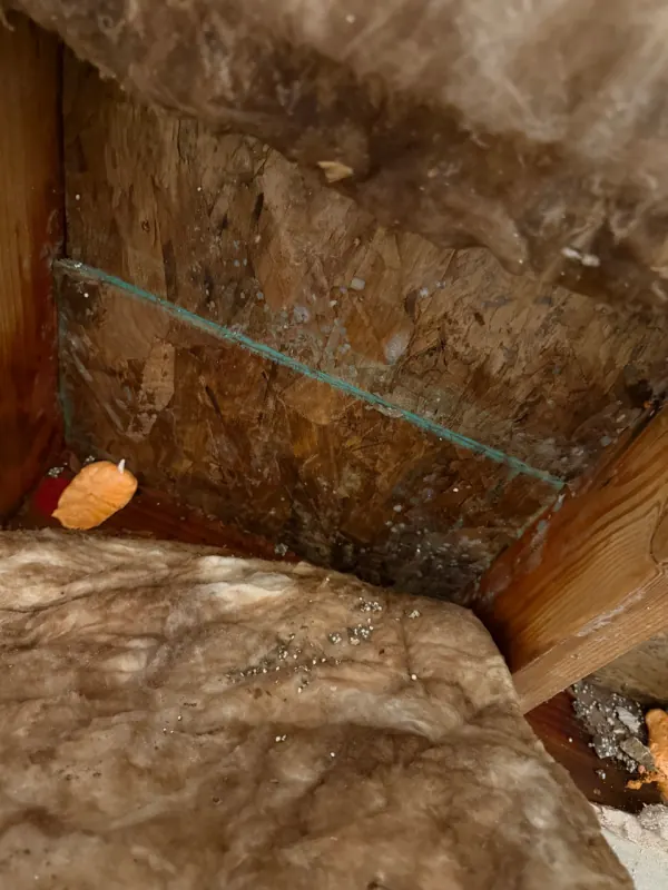 Commercial drying chamber with air movers during structural drying in Henderson