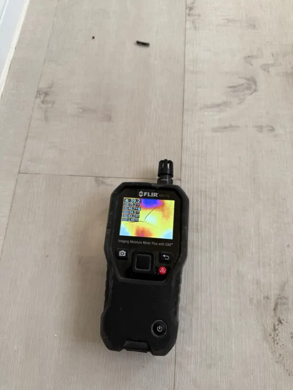 Moisture readings and documentation during a Henderson sewage cleanup
