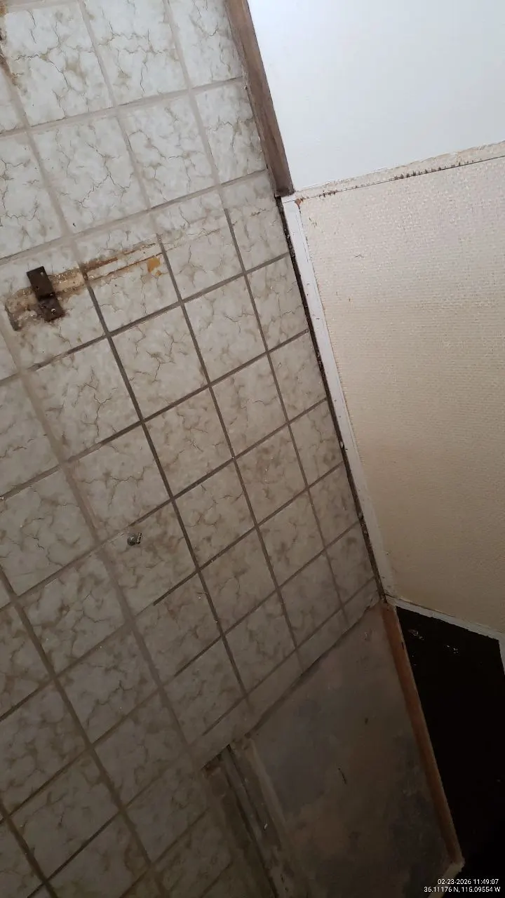 Stained tile and water-damaged wall trim beside a shower during a leak inspection