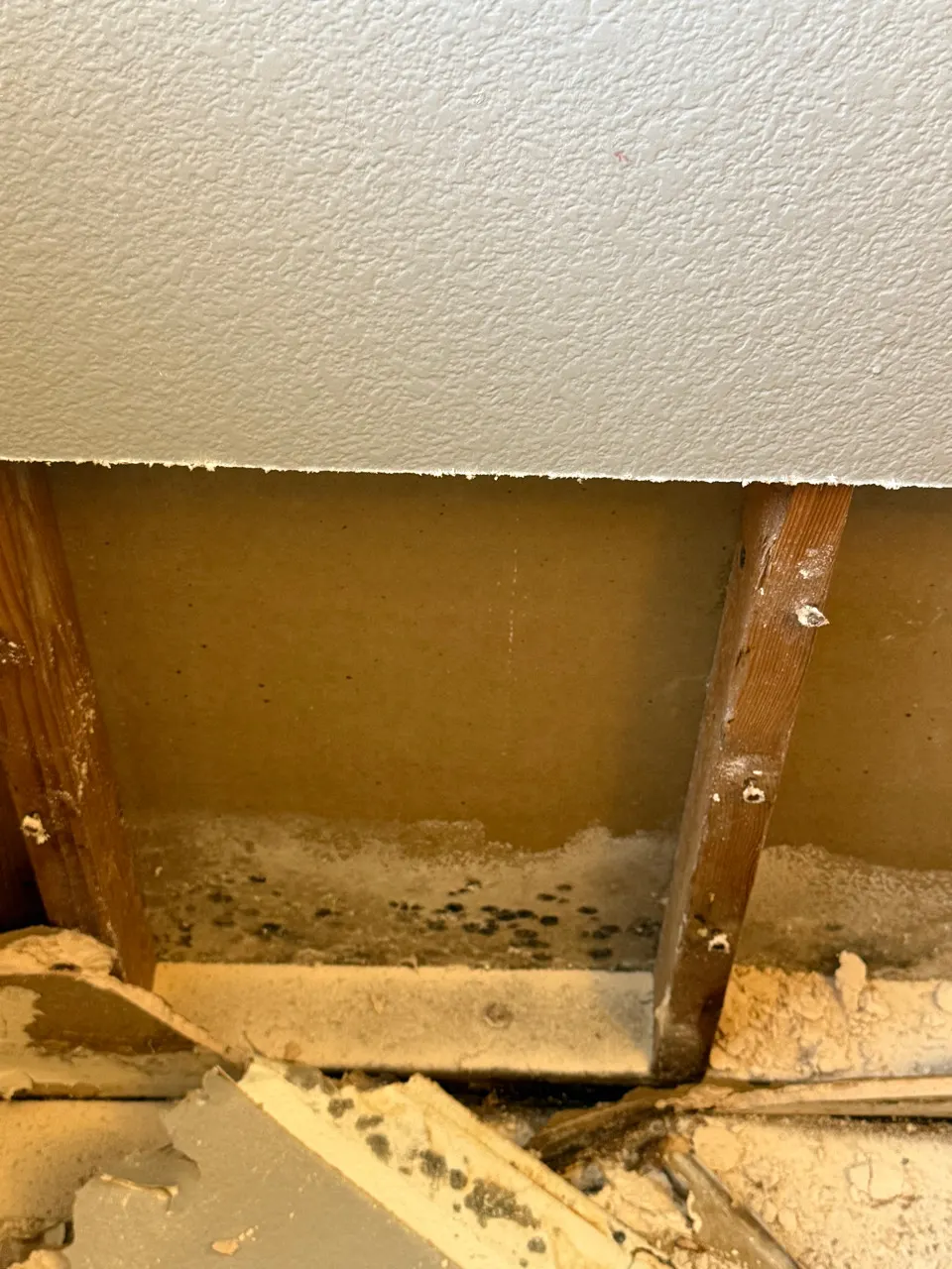 Opened wall cavity showing water damage and early mold growth at the base of the framing
