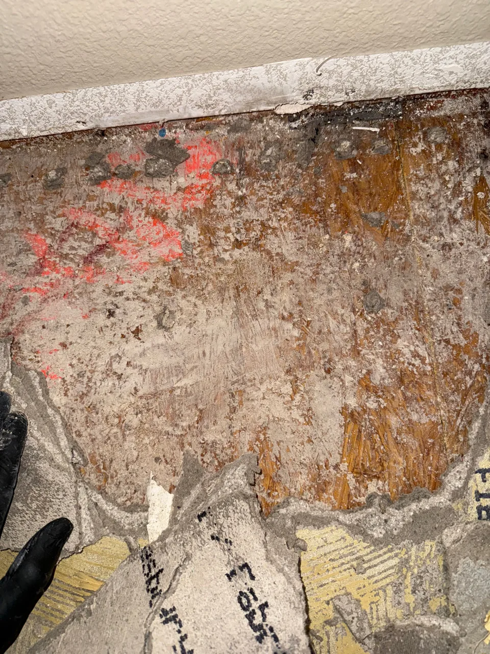 Mold growth and contaminated baseboard framing before mold cleaning