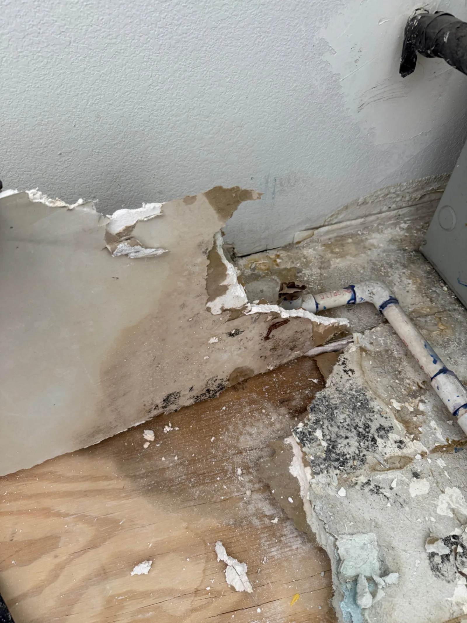 Torn water-damaged drywall with mold growth at the floor line in a Henderson home